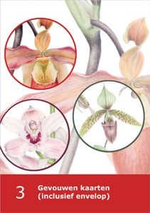 kadoset 3 kaarten - Orchideeen