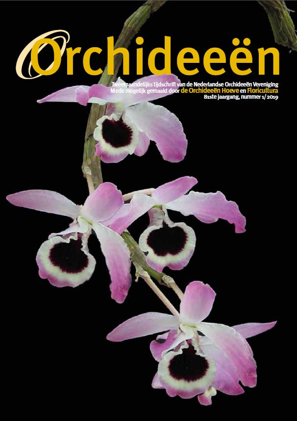 Artikel Orchideeen Vereniging
