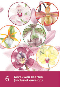 kadoset 6 kaarten - Orchideeen